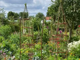 tuin